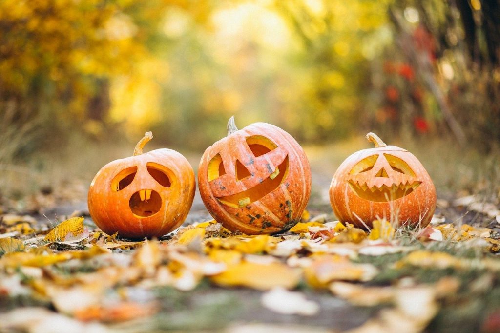 Pourquoi sortons-nous les citrouilles pour Halloween?