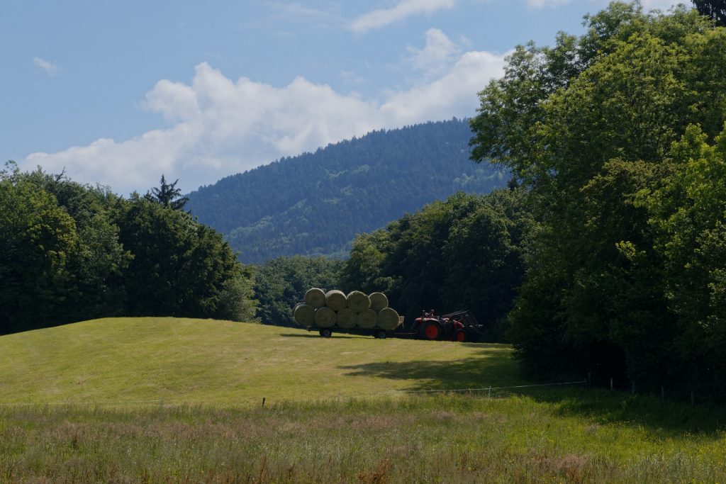 Vous voulez être un micro-agriculteur ?